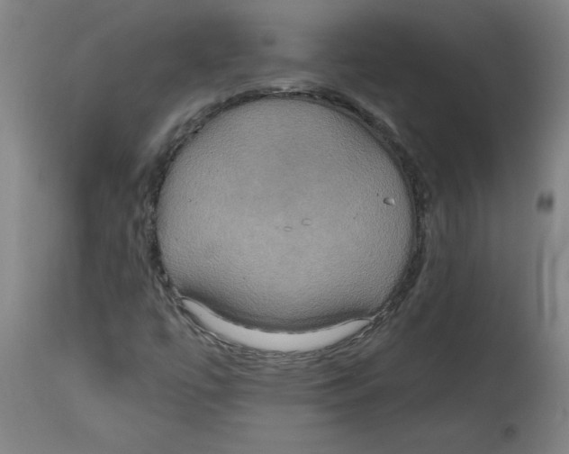 X0000114671447200911181155