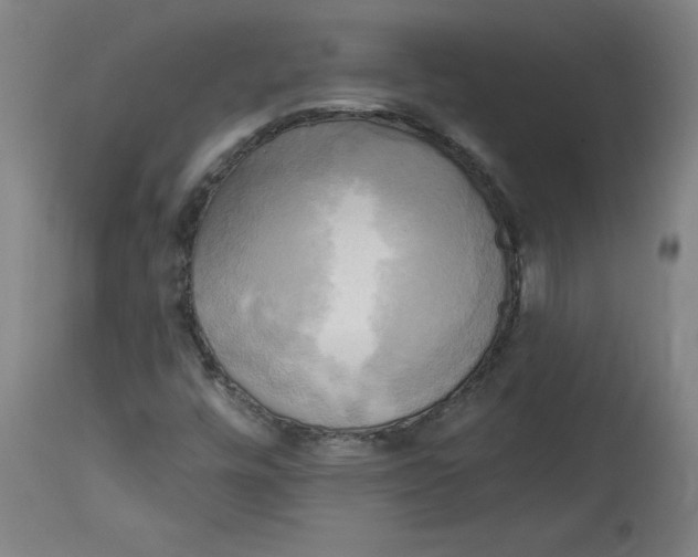 X0000114671448200911181155