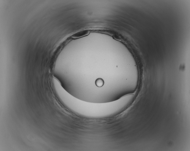 X0000114671449200911181155