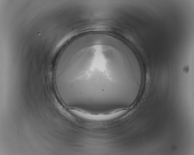 X0000114671450200911181155