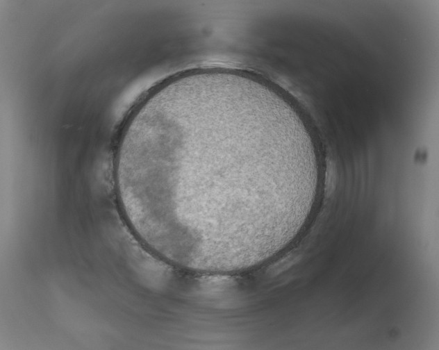 X0000114671454200911181155