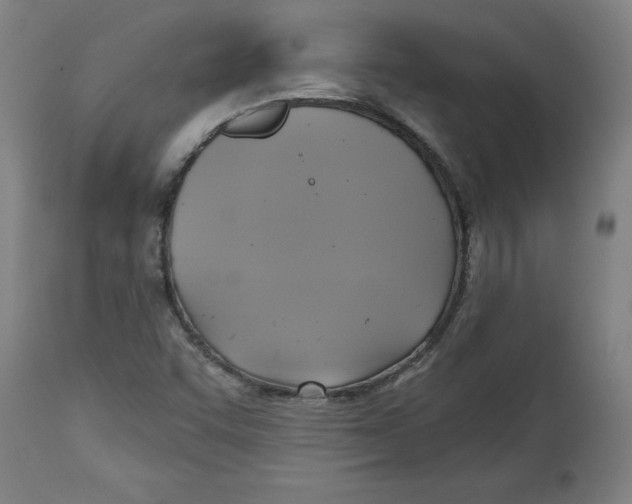 X0000114671455200911181155