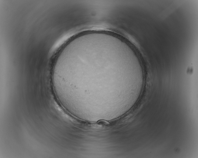 X0000114671456200911181155