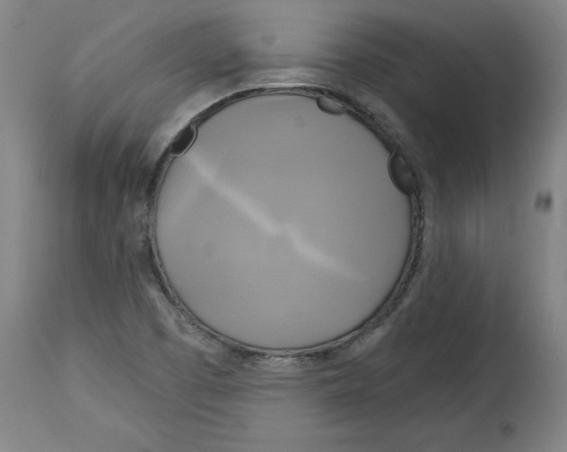 X0000114671457200911181155