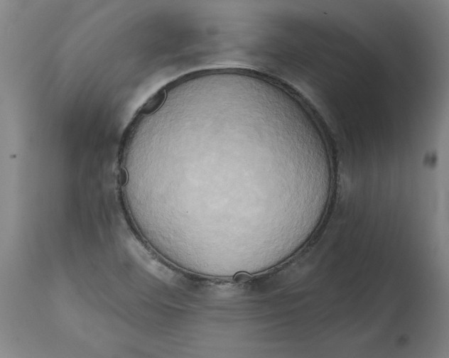 X0000114671460200911181155