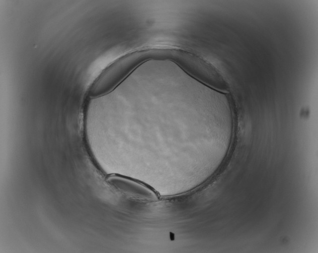 X0000114671461200911181155