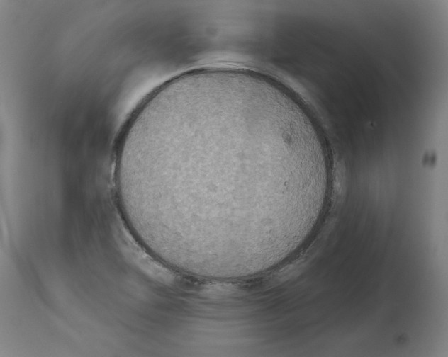 X0000114671462200911181155