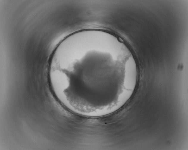 X0000114671463200911181155