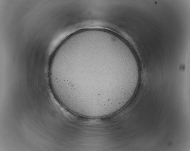 X0000114671464200911181155