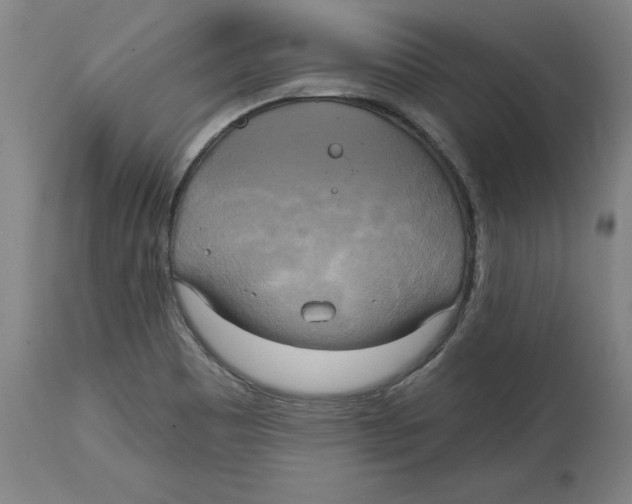 X0000114671465200911181155