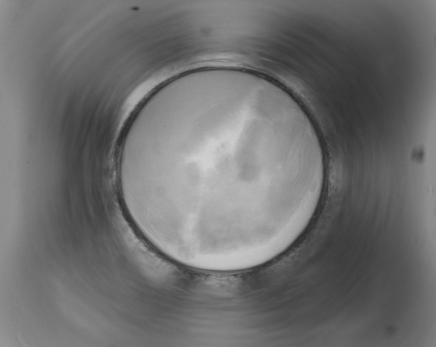 X0000114671466200911181155