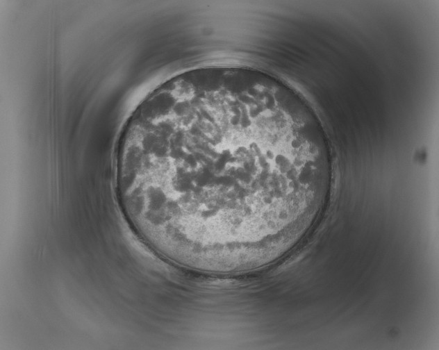 X0000114671467200911181155