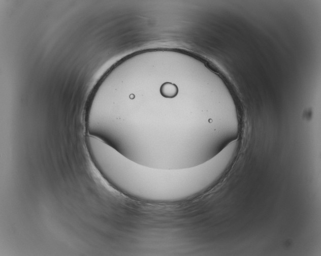 X0000114671468200911181155