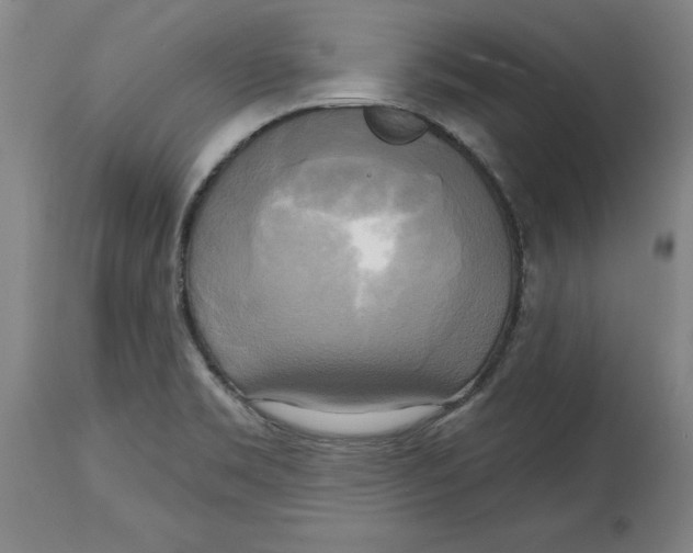 X0000114671469200911181155