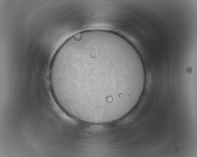 X0000114671470200911181155