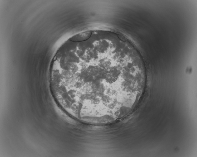 X0000114671471200911181155