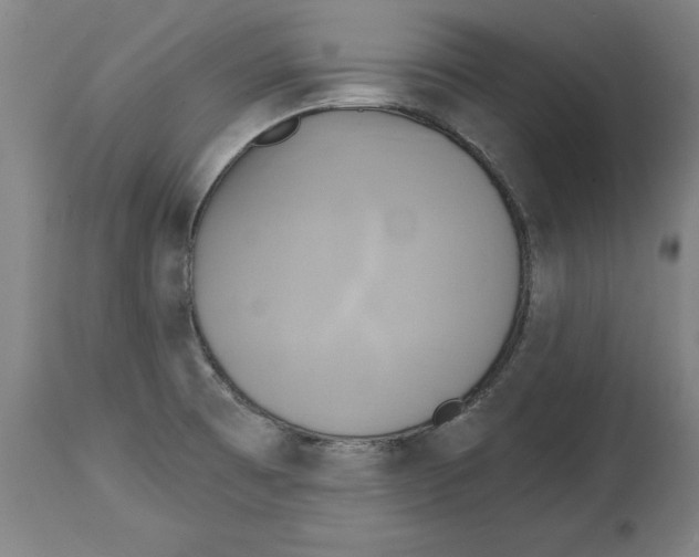 X0000114671473200911181155