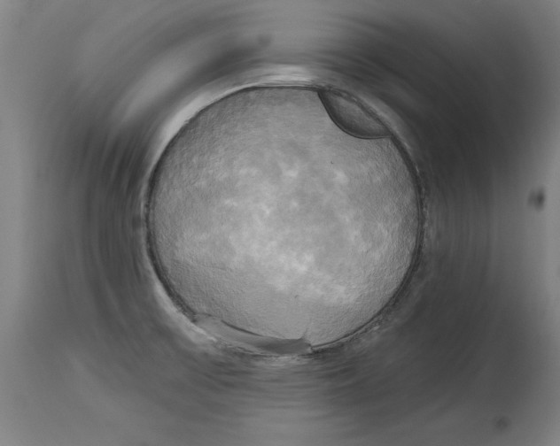 X0000114671475200911181155