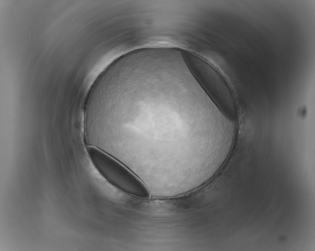 X0000114671476200911181155