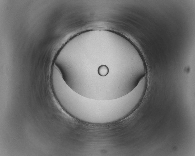 X0000114671477200911181155