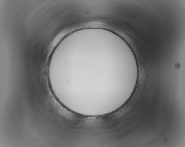 X0000114671478200911181155