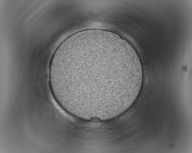 X0000114671479200911181155