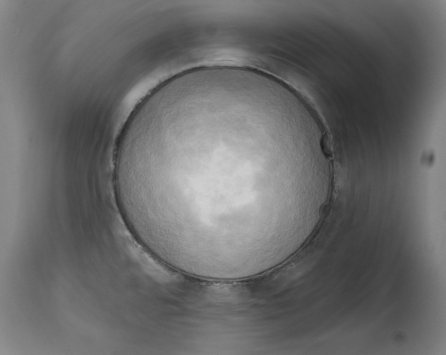 X0000114671480200911181155