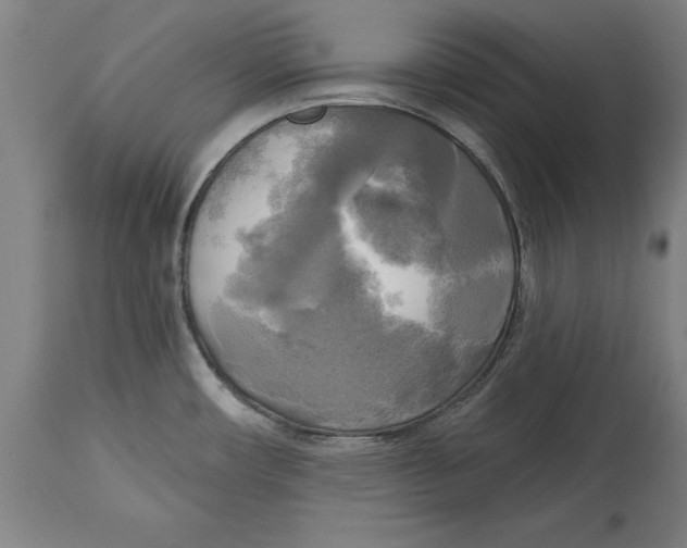 X0000114671482200911181155