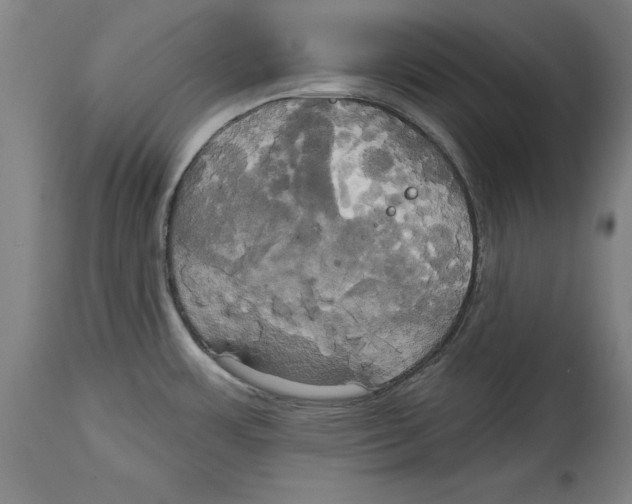 X0000114671483200911181155