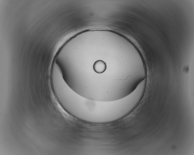 X0000114671485200911181155