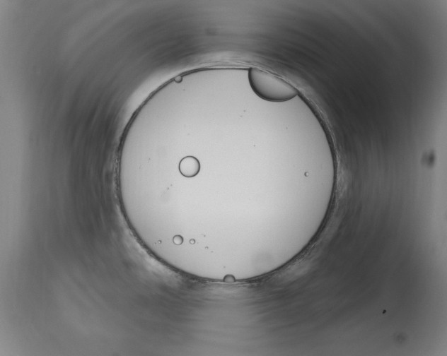 X0000114671486200911181155