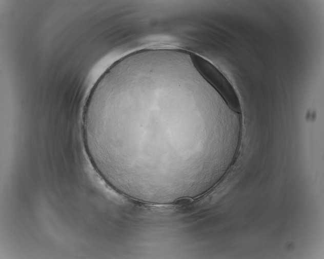 X0000114671488200911181155