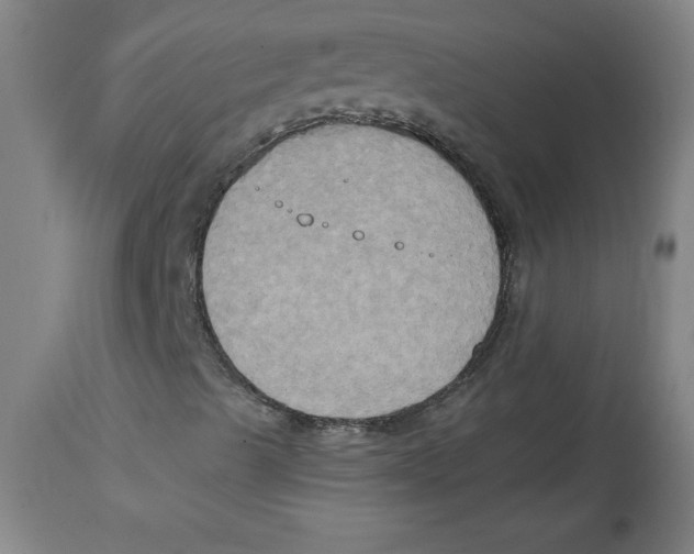 X0000114671489200911181154