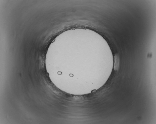 X0000114671491200911181154