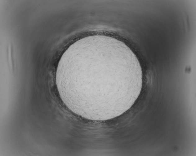 X0000114671493200911181154