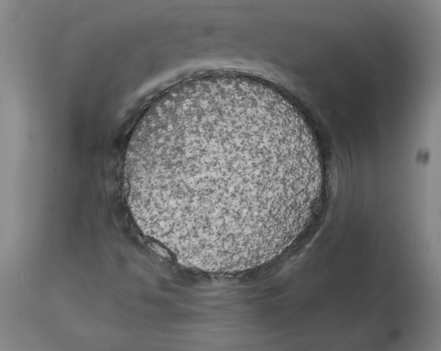 X0000114671494200911181154