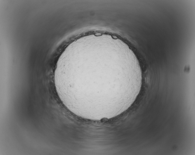 X0000114671495200911181154