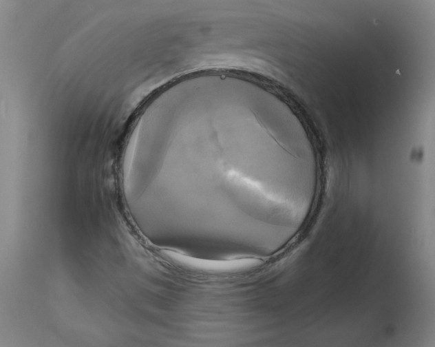 X0000114671497200911181154