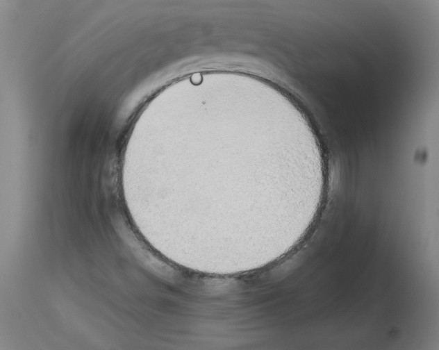 X0000114671498200911181154