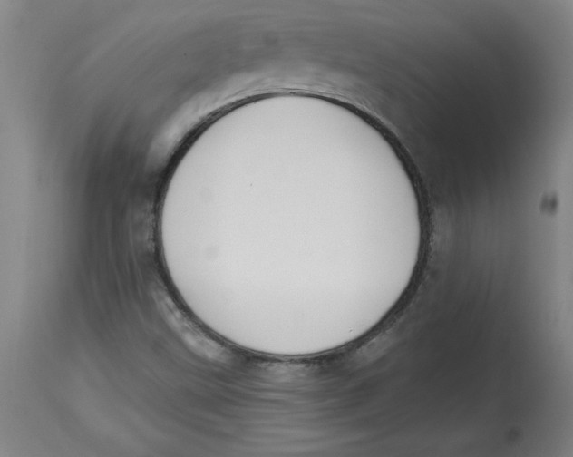 X0000114671499200911181154