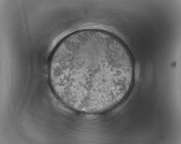 X0000114671501200911181154