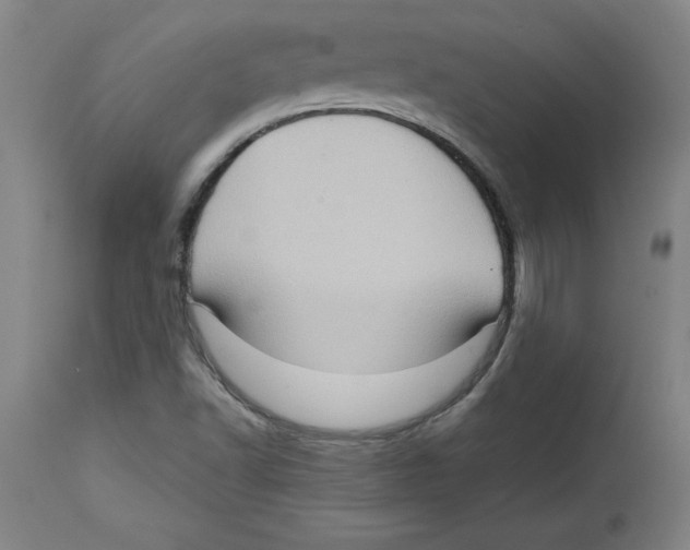 X0000114671502200911181154