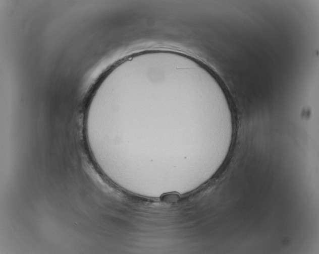 X0000114671503200911181154