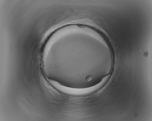 X0000114671506200911181154