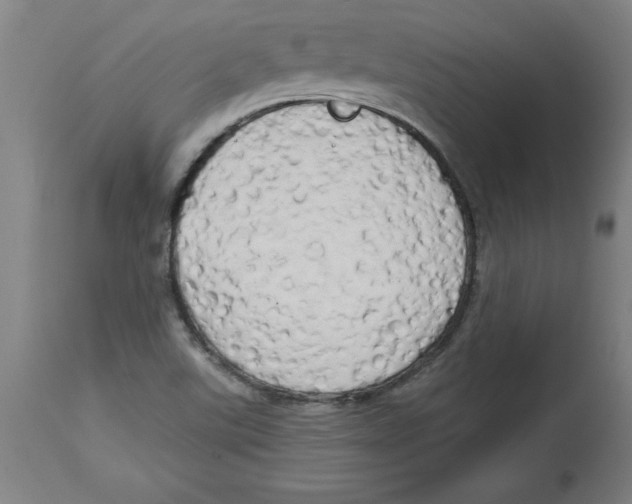 X0000114671507200911181154