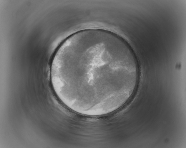 X0000114671509200911181154