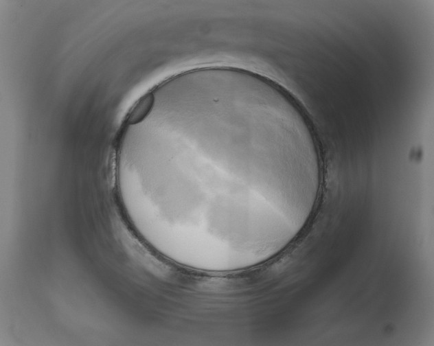 X0000114671510200911181154