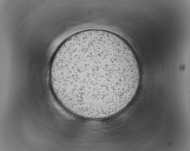 X0000114671511200911181154