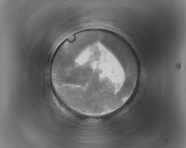 X0000114671513200911181154