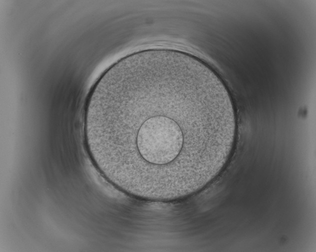 X0000114671514200911181154